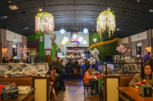 Los Altos Mexican Bar Grill